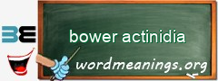 WordMeaning blackboard for bower actinidia